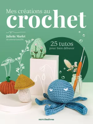 Produit Mes créations au crochet Image