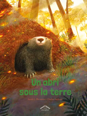 Produit Un abri sous la terre Image
