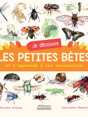 Produit Je découvre les petites bêtes Image