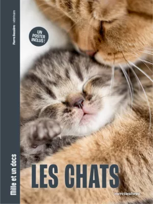 Produit Les Chats - Mille et un docs Image
