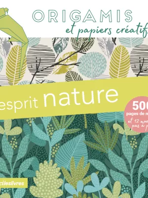 Produit Origamis et papiers créatifs - Esprit nature Image