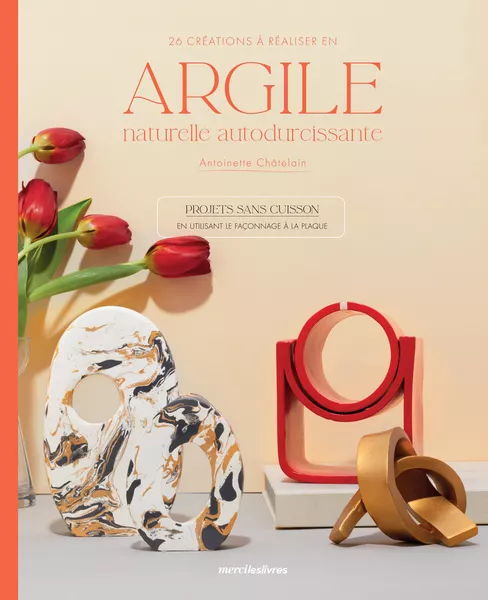 Produit 26 créations à réaliser en argile naturelle autodurcissante Image