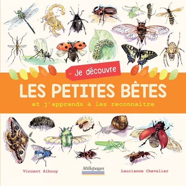Produit Je découvre les petites bêtes Image