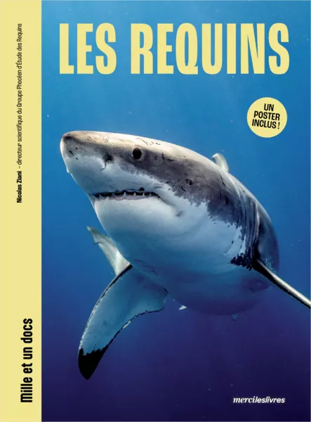 Produit Les requins - Mille et un docs Image
