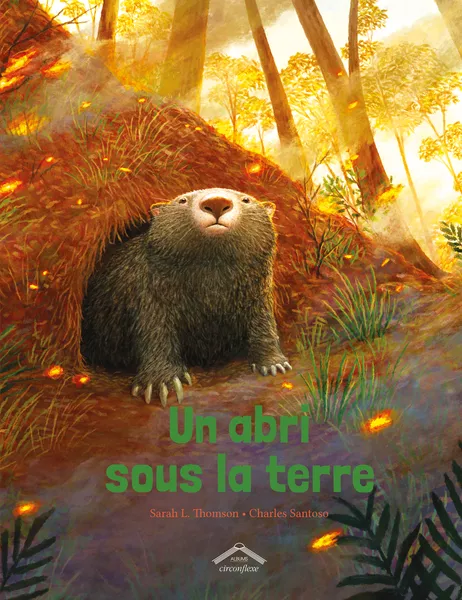 Produit Un abri sous la terre Image