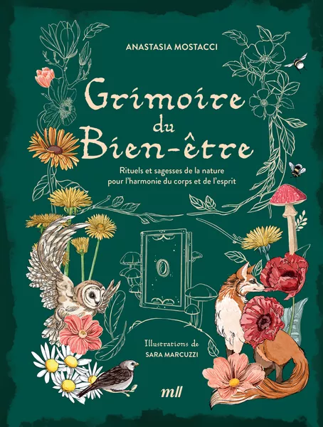 Produit Grimoire du bien-être Image