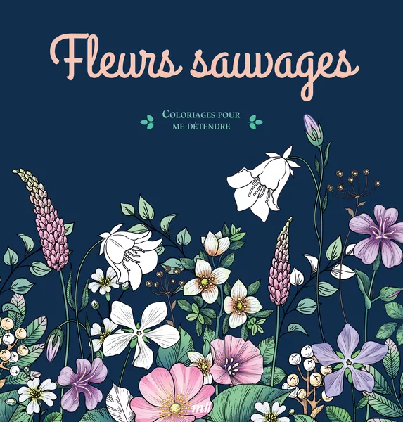 Produit Fleurs sauvages - Coloriages pour me détendre Image