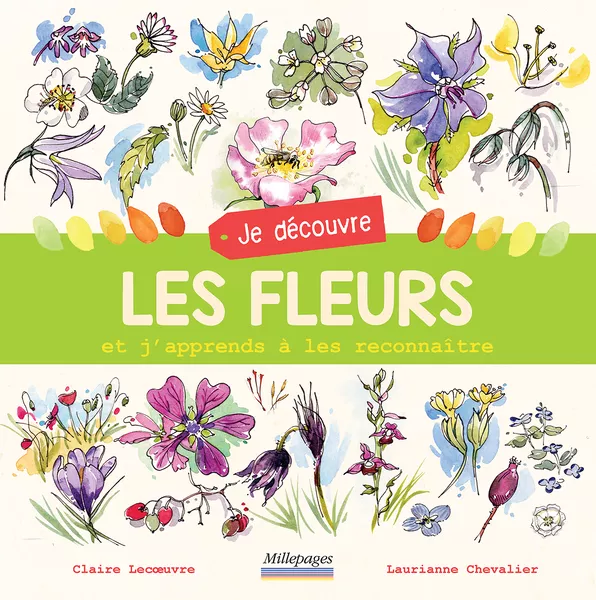 Produit Je découvre les fleurs Image