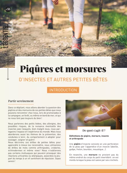 Produit Piqûres et morsures d'insectes et autres petites bêtes (dépliant) Image