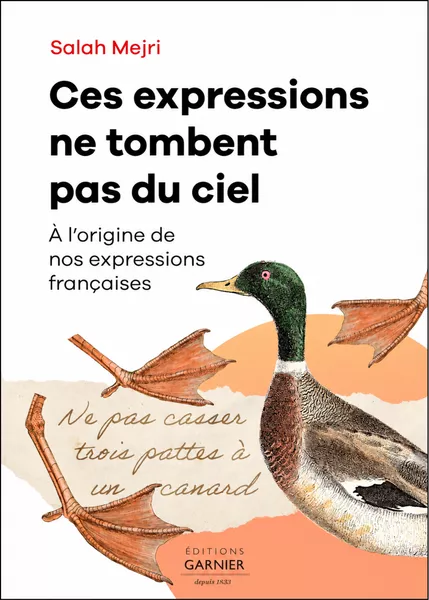Produit Ces expressions ne tombent pas du ciel Image