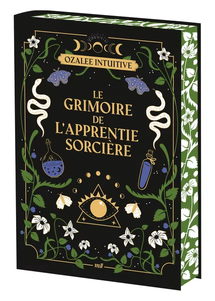Produit Le grimoire de l'apprentie sorcière Image