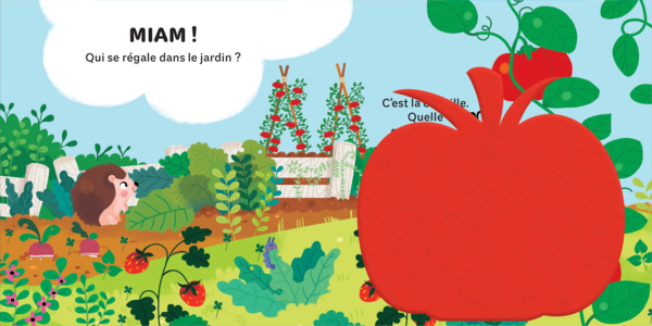 Les insectes - Mes petits coucous