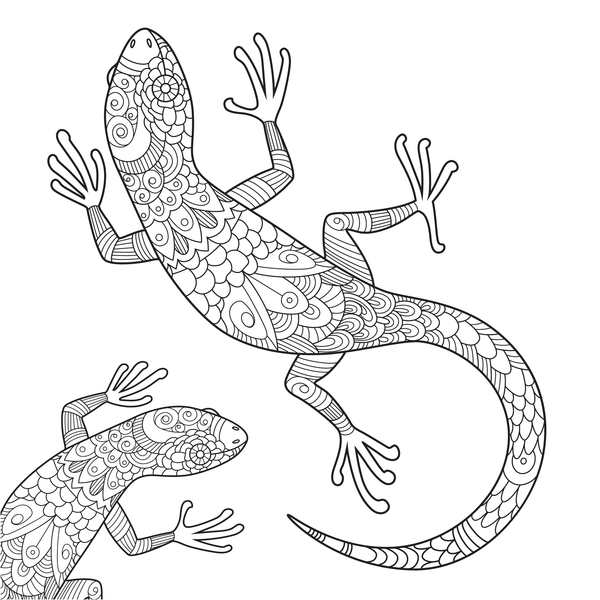 Coffret Coloriages - Animaux sauvages