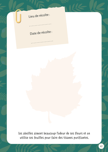 Mon premier herbier Fleurs et feuilles