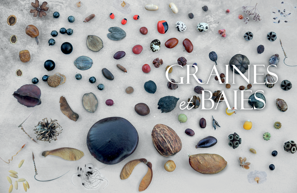 Land art - Graines d'inspiration