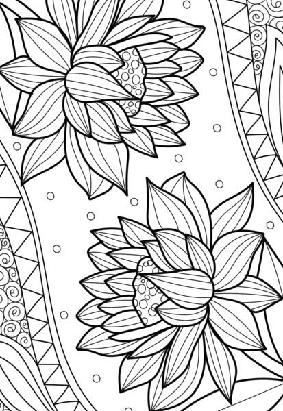 Fleurs - 20 cartes à colorier