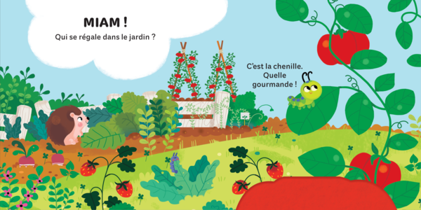 Les insectes - Mes petits coucous