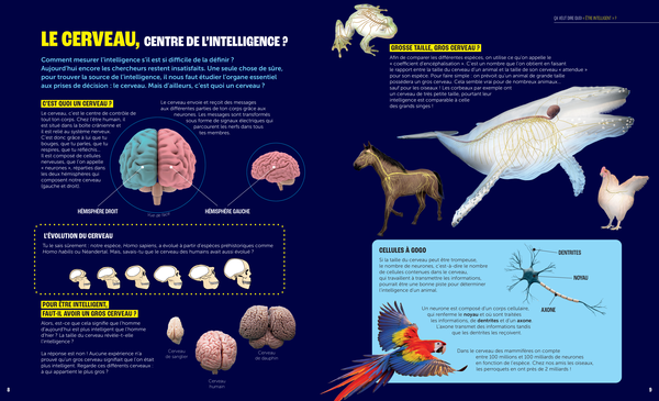 Pas bêtes, ces animaux !