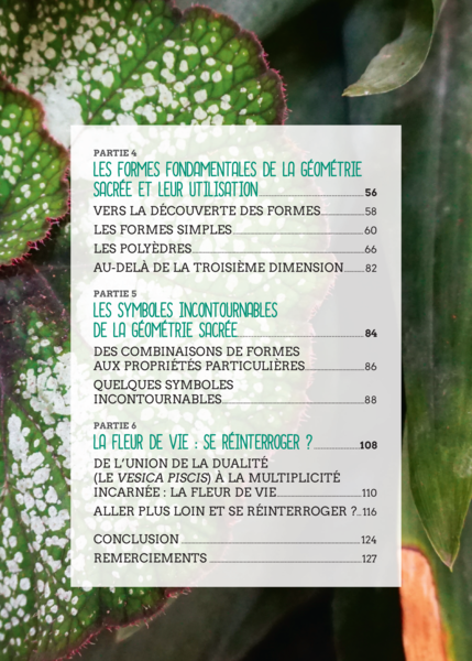 Le Petit Guide de la géométrie sacrée