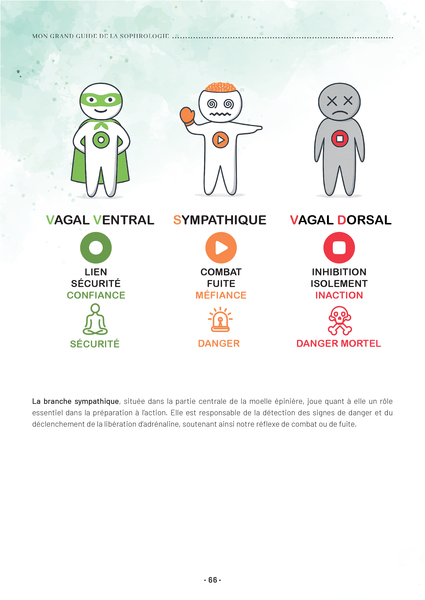 Mon grand guide de la sophrologie