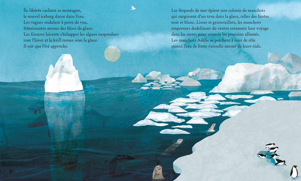 Iceberg