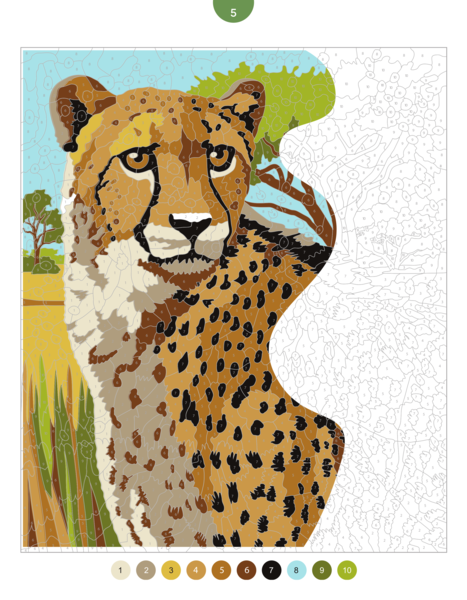Coloriages mystères - Animaux sauvages