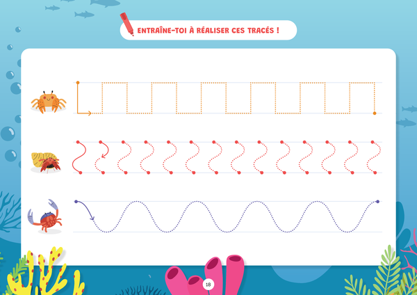 Lot Mes grandes fiches d'entraînement effaçables - Maternelle (2 titres)