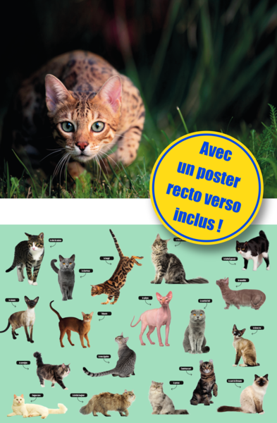 Les Chats - Mille et un docs