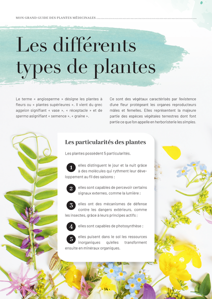 Mon grand guide des plantes médicinales