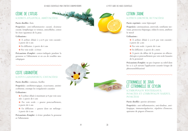 Le Petit Guide des huiles essentielles