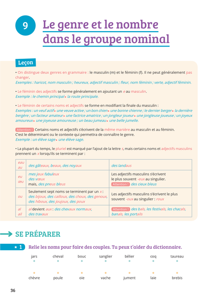 Prof particulier - Dictées 6e