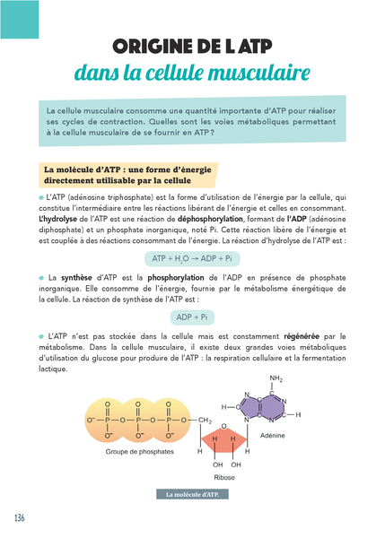 Bac assuré Spécialité SVT - Terminale