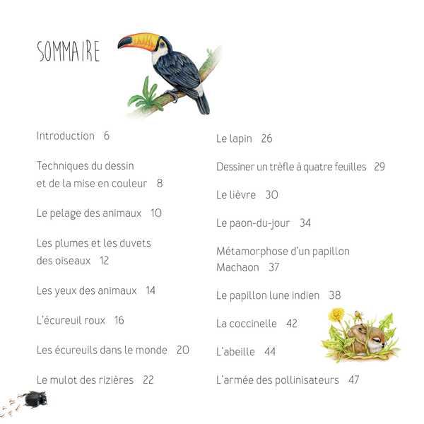 Dessiner les animaux, du croquis à la mise en couleur