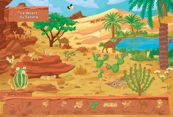 Cherche et trouve : Animaux du monde