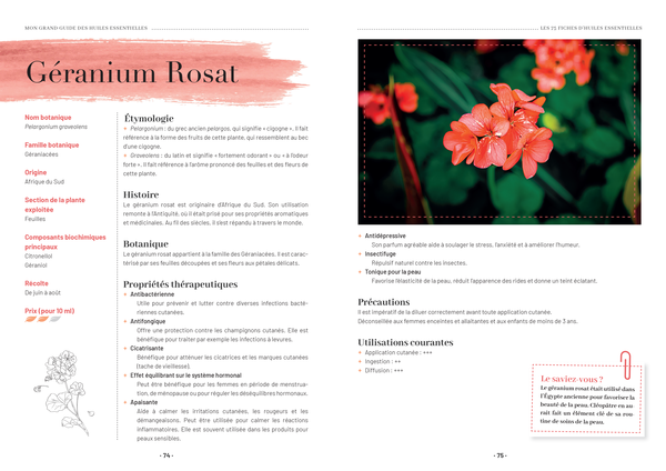 Mon grand guide des huiles essentielles