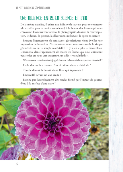 Le Petit Guide de la géométrie sacrée