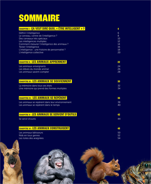Pas bêtes, ces animaux !