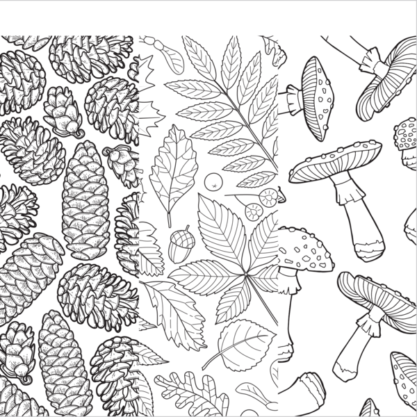 Instant coloriage - Cueillette en forêt