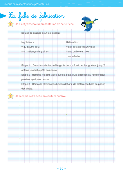 Lot CE1 « Mon cahier d'écriture » (2 titres)