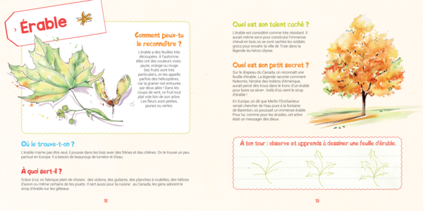 Je découvre les arbres