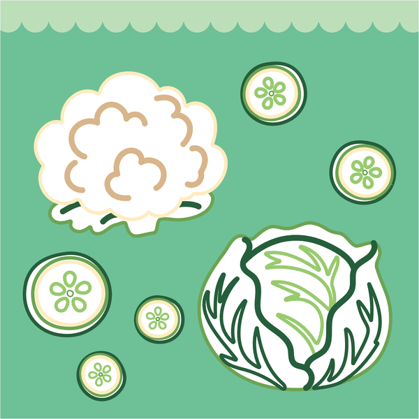 Mon beau potager à colorier sans dépasser