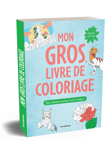 Mon gros livre d'activités