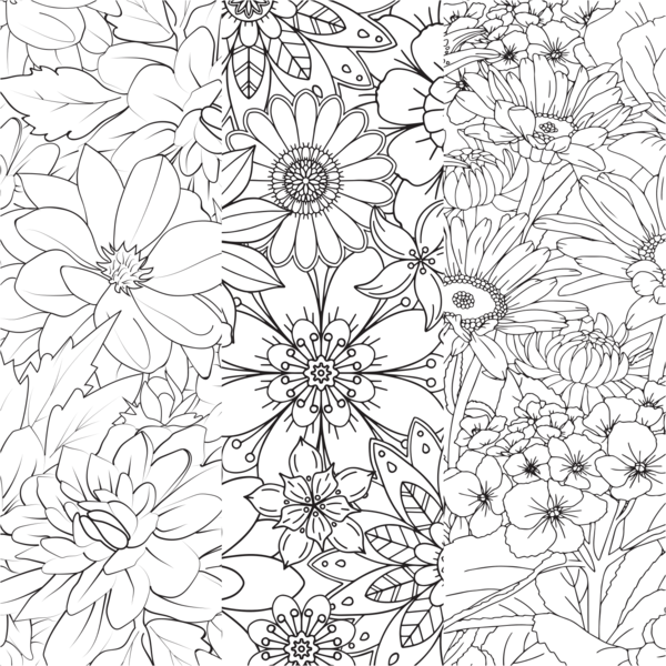 Instant coloriage - Pouvoir des fleurs