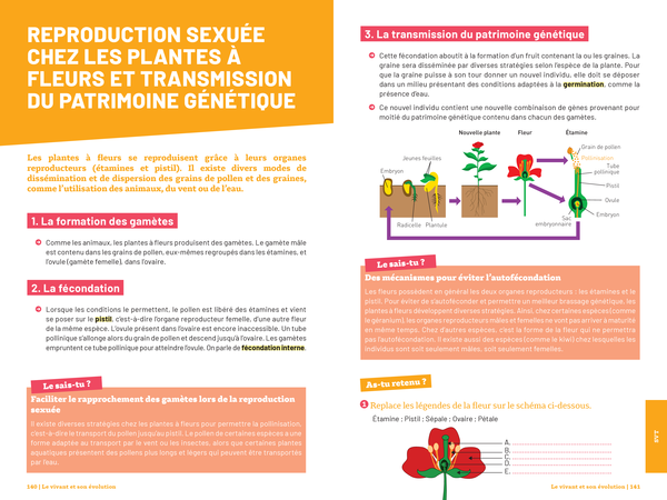 Savoirs fondamentaux 5e - Le tout-en-un pour réussir son année !