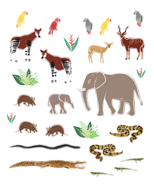 700 gommettes des animaux du monde