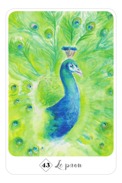 L'Oracle de la Voie des animaux - Reconnexion à la nature (jeu d'art divinatoire)