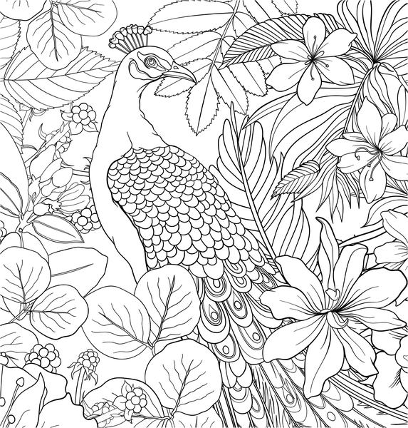 Vols d'oiseaux - Coloriages pour me détendre