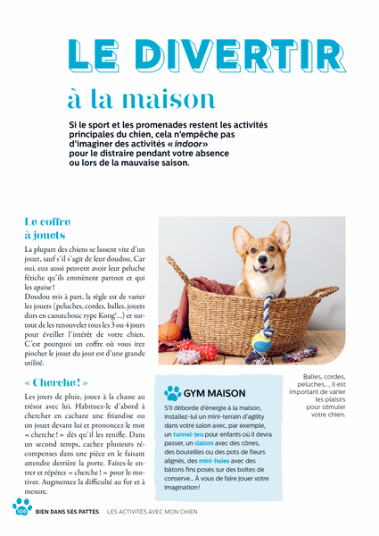 Bien dans ses pattes