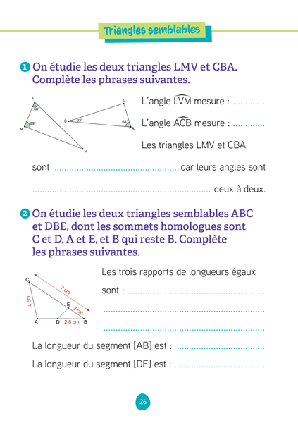 Les fiches d'entraînement effaçables 3e - Brevet