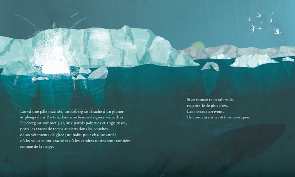 Iceberg